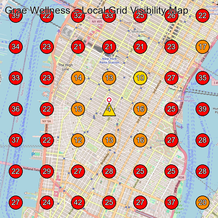 Grae Wellness GeoGrid visibility map for Wellness Center in New York